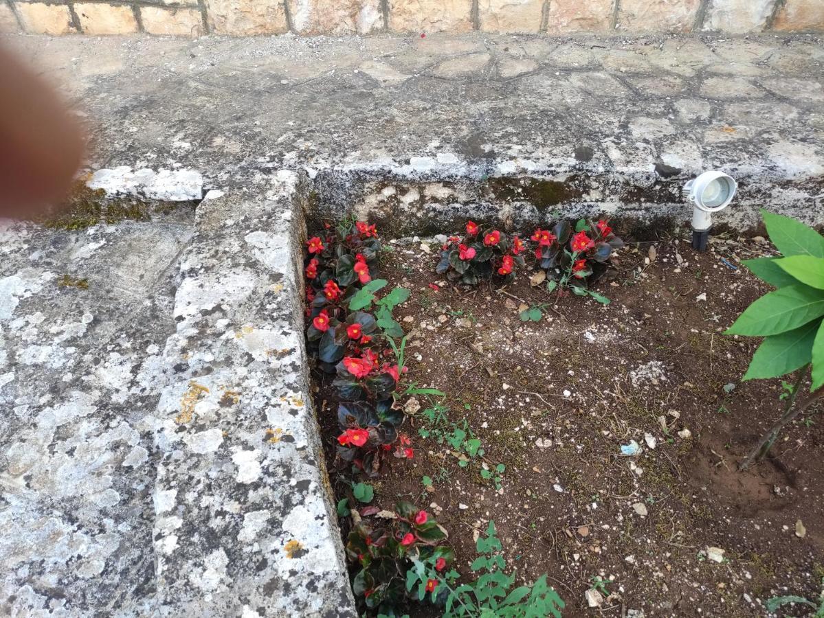 La Dimora Del Cuore Monopoli Esterno foto